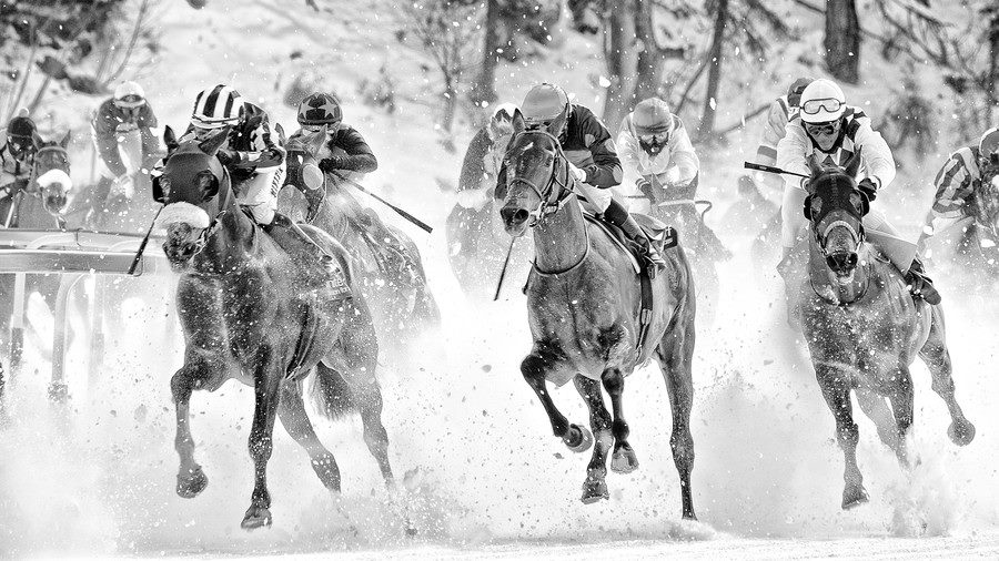 Horse Racing In The Snow - WHITE TURF ST MORITZ